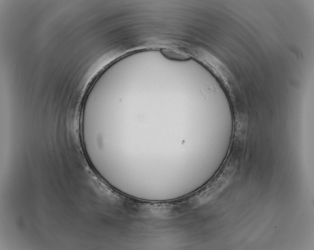 X0000113120952200909251110