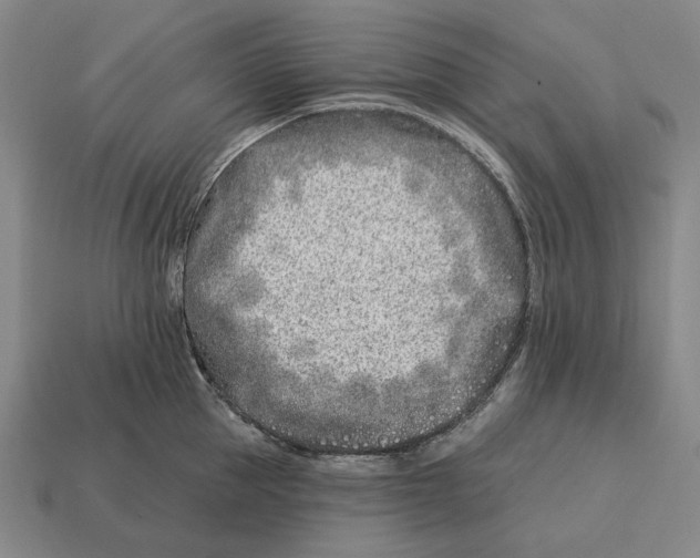 X0000113120953200909251110