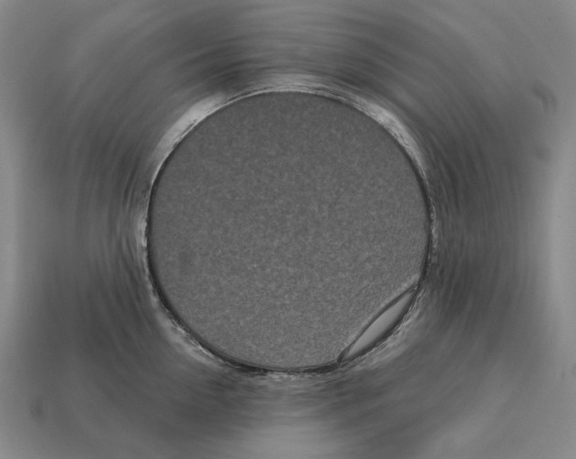 X0000113120954200909251110