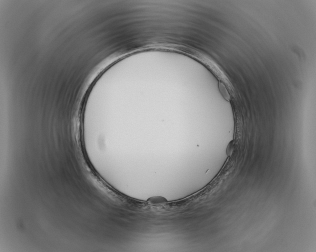X0000113120955200909251110