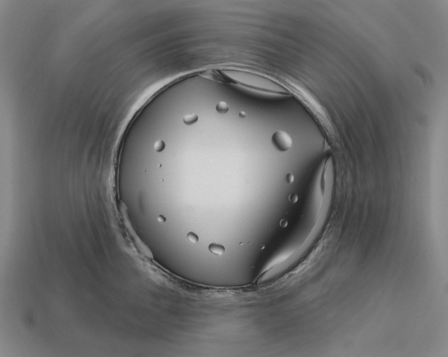 X0000113120956200909251110