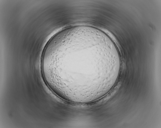 X0000113120957200909251110
