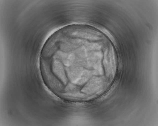 X0000113120958200909251110