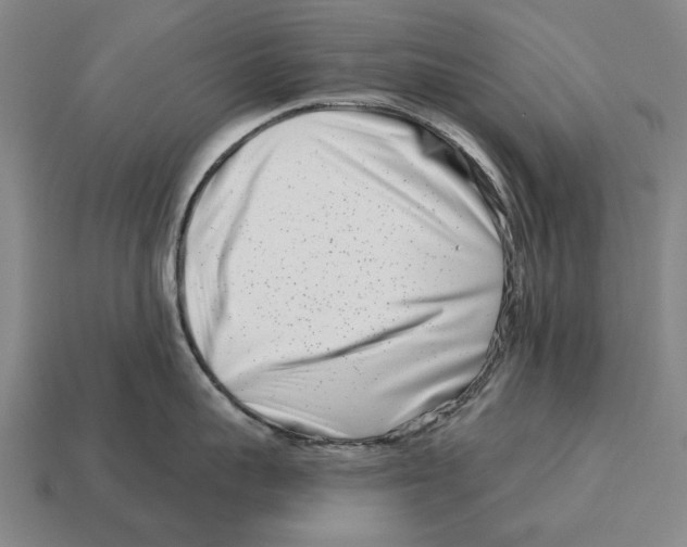 X0000113120959200909251110