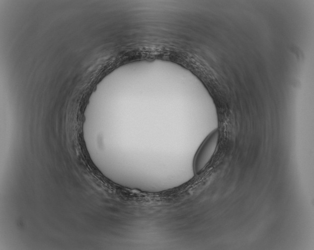 X0000113120961200909251109