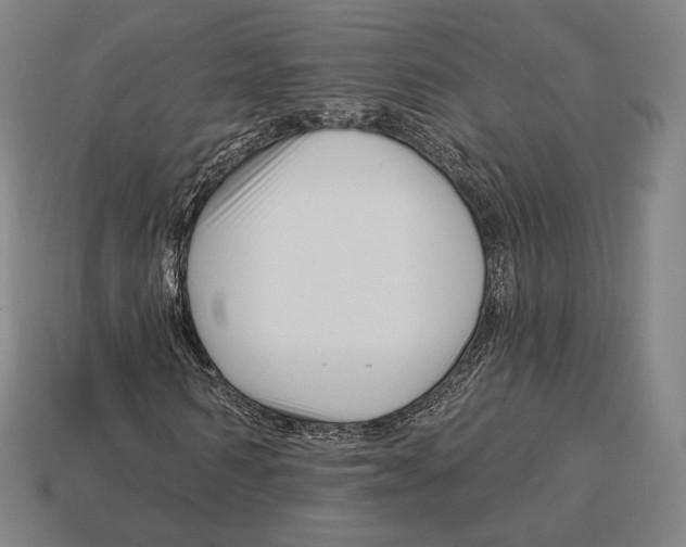 X0000113120962200909251109