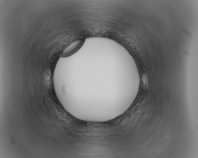 X0000113120963200909251109