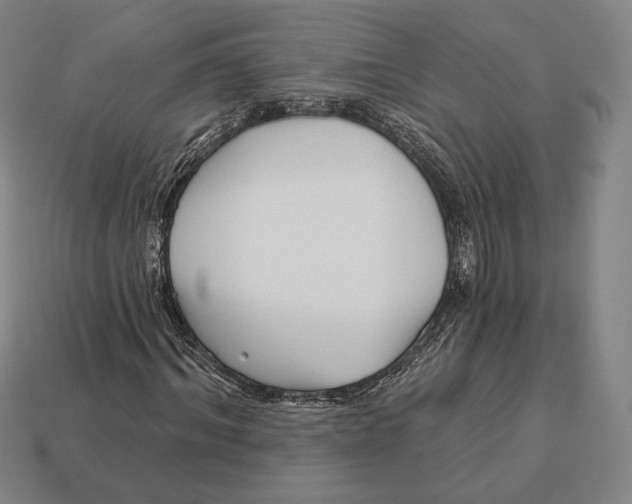 X0000113120964200909251109