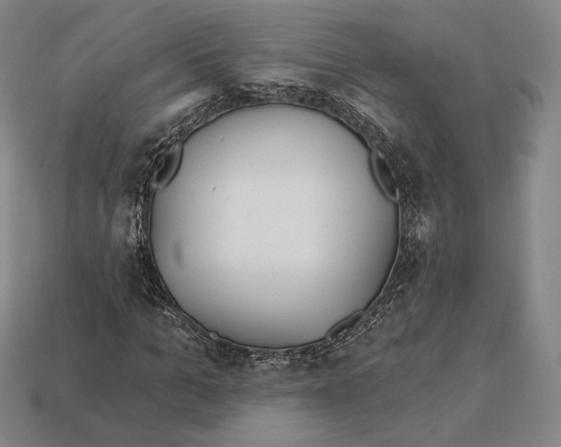 X0000113120965200909251109