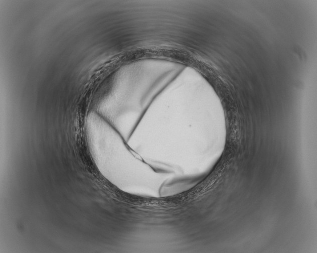 X0000113120966200909251109