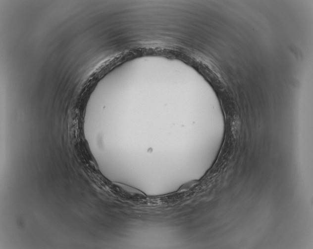 X0000113120968200909251109