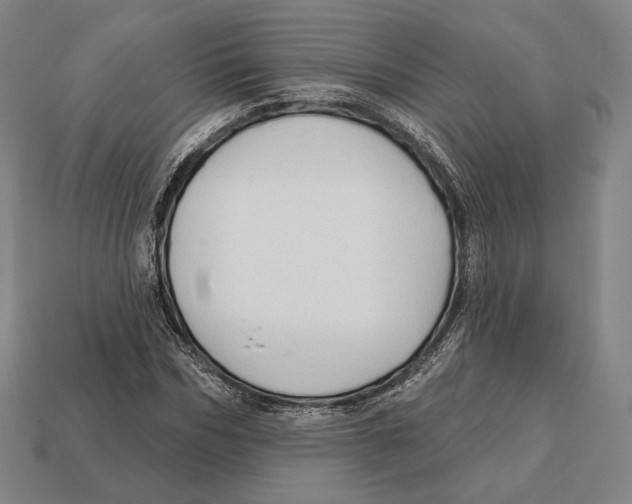 X0000113120970200909251109