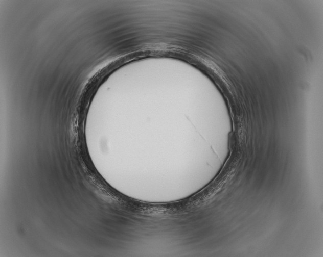 X0000113120971200909251109