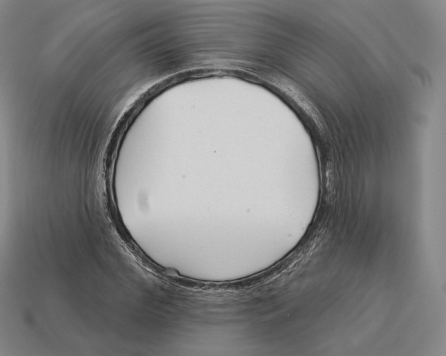 X0000113120972200909251109