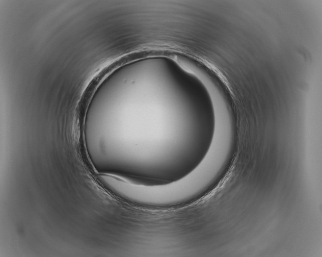 X0000113120973200909251109