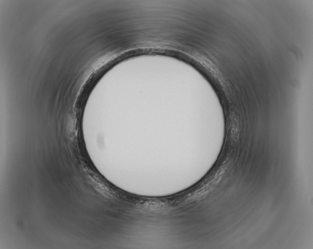 X0000113120974200909251109