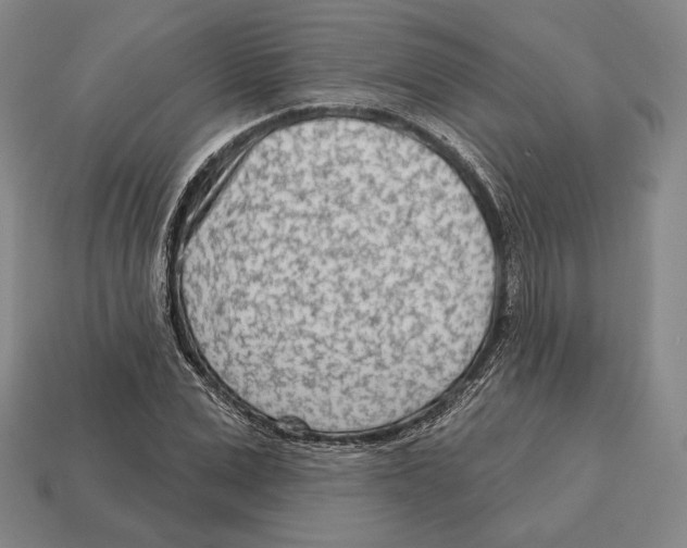 X0000113120975200909251109