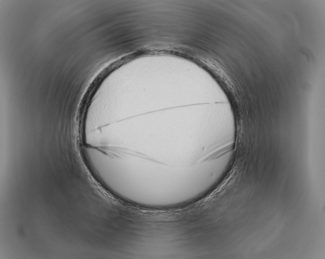 X0000113120976200909251109