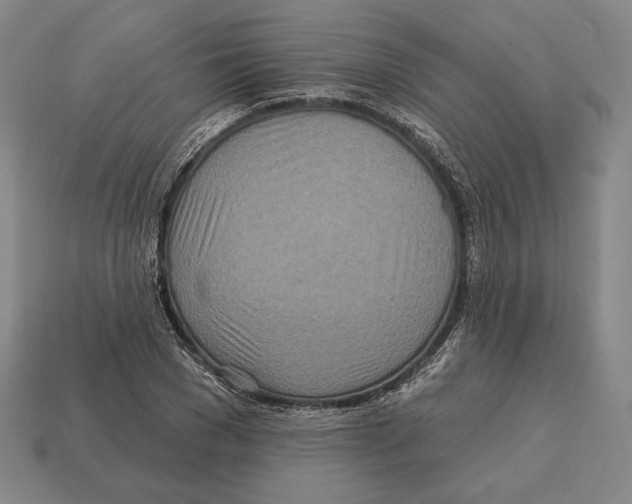 X0000113120977200909251109
