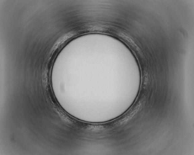 X0000113120978200909251109