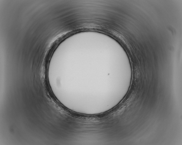X0000113120979200909251109