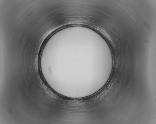 X0000113120980200909251109