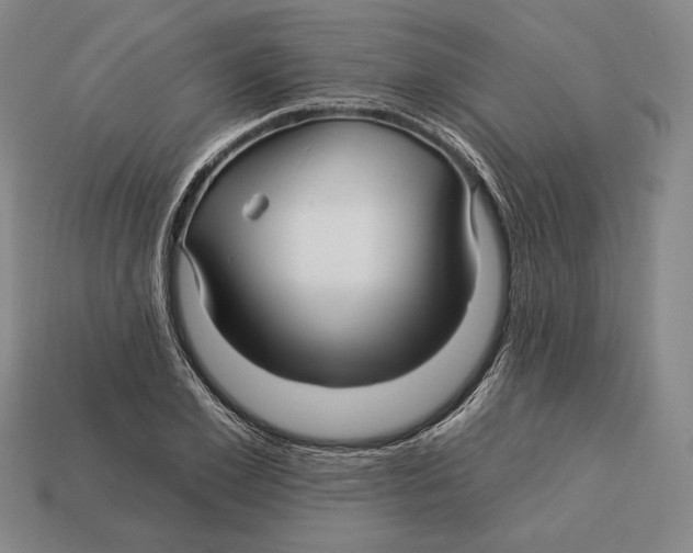 X0000113120981200909251109