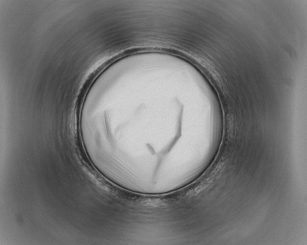 X0000113120982200909251109