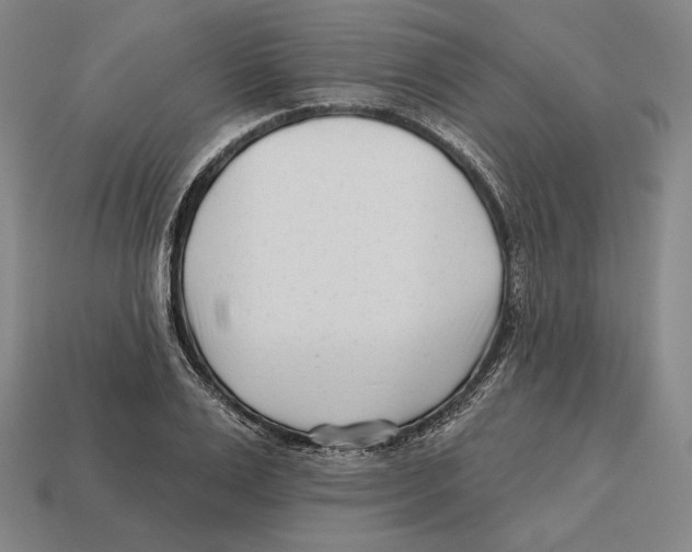 X0000113120983200909251109