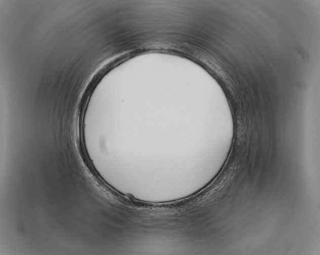 X0000113120984200909251109