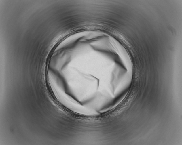 X0000113120986200909251109