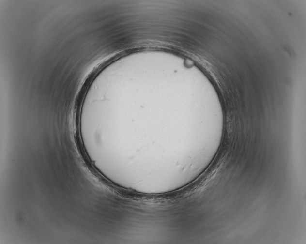 X0000113120987200909251109