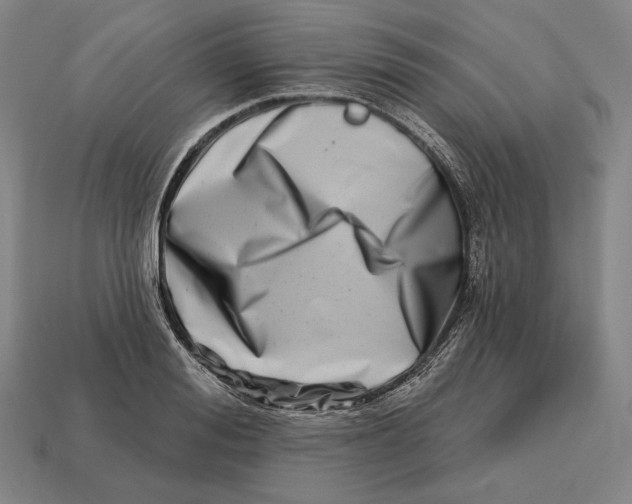 X0000113120988200909251109