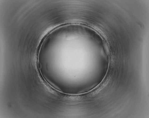 X0000113120989200909251109