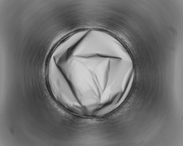 X0000113120990200909251109