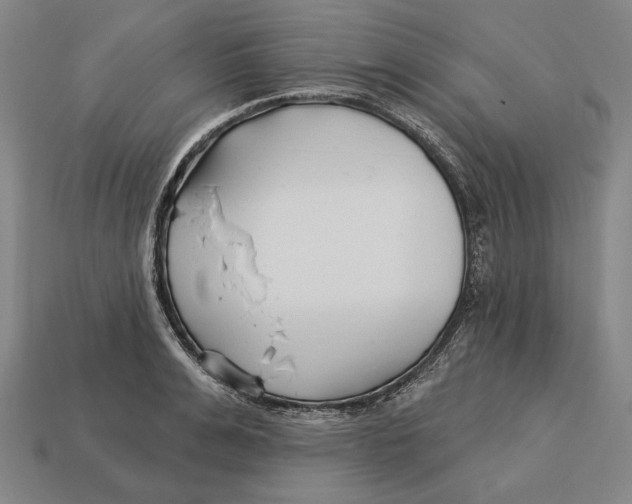 X0000113120991200909251109