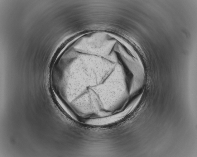 X0000113120992200909251109