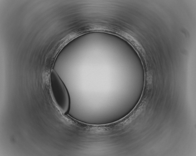 X0000113120993200909251109
