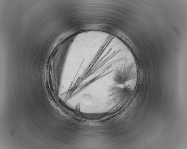 X0000113120994200909251109