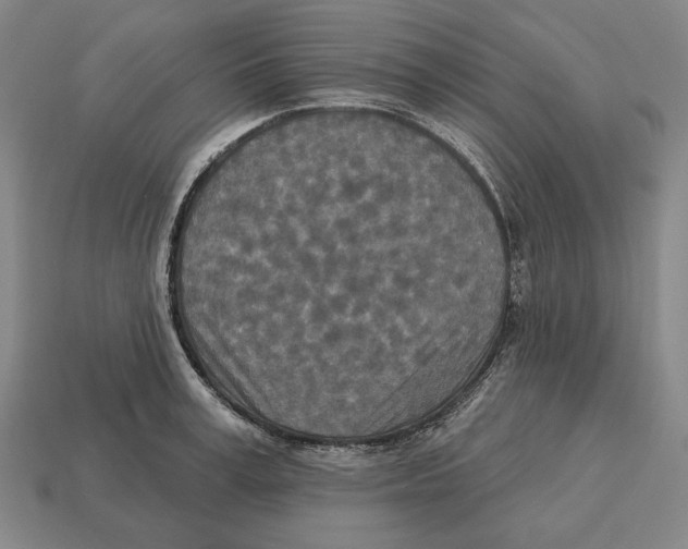 X0000113120995200909251109