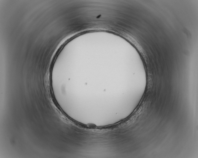 X0000113120996200909251109