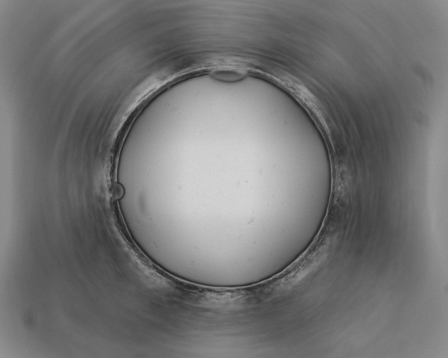 X0000113120997200909251109