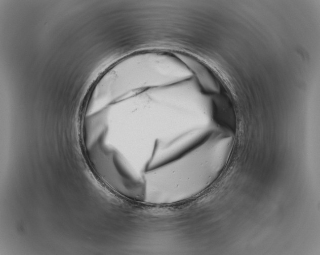 X0000113120998200909251109