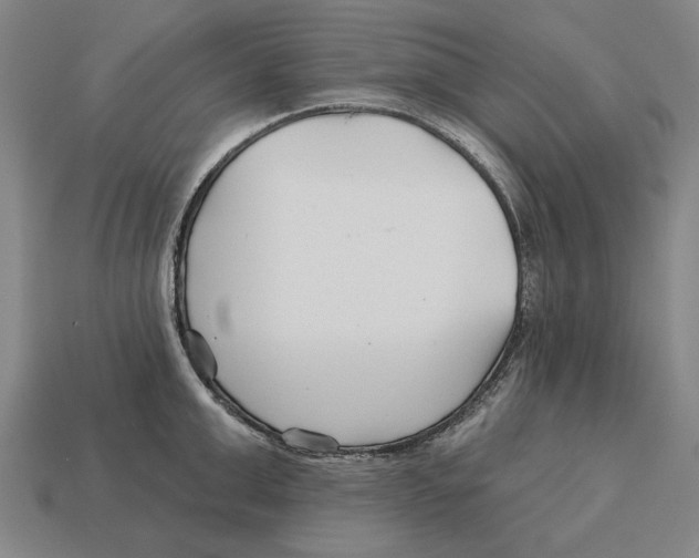 X0000113120999200909251109