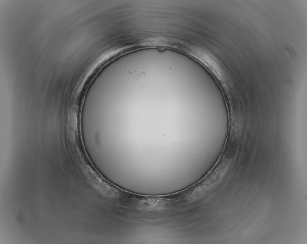 X0000113121000200909251109