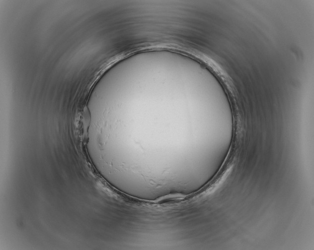 X0000113121001200909251109