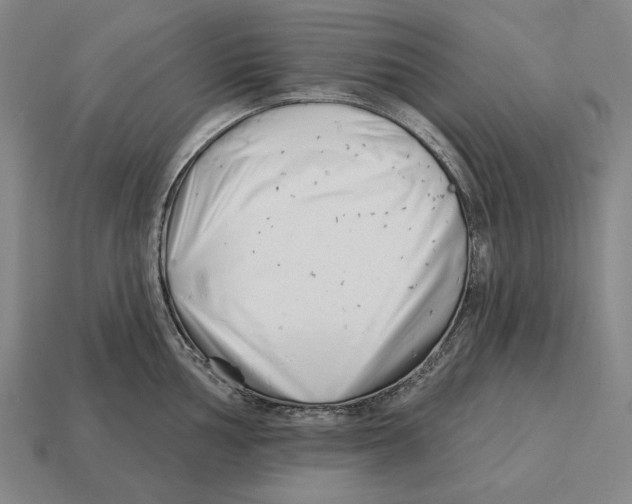 X0000113121002200909251109