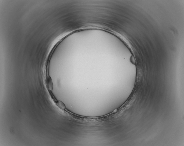 X0000113121003200909251109