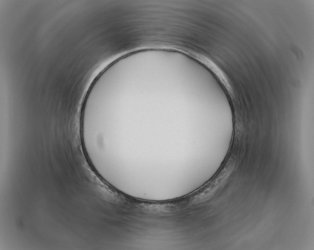 X0000113121004200909251109
