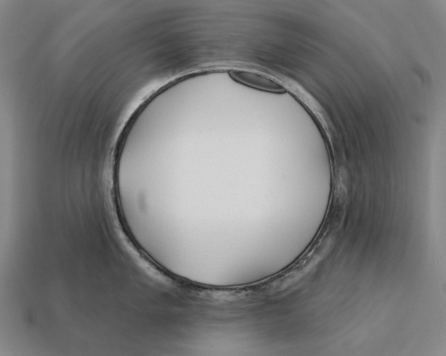 X0000113121005200909251109